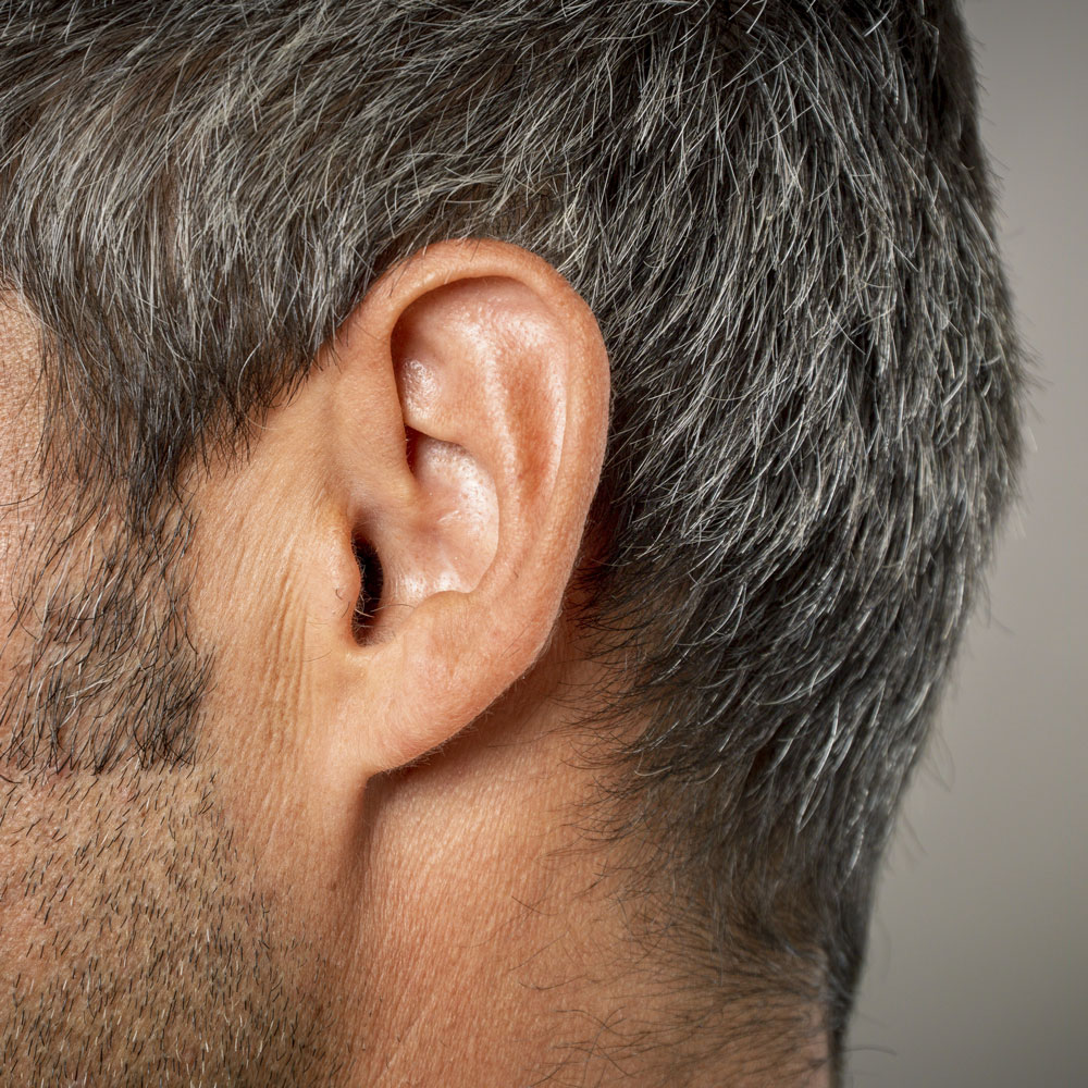 close up of mans ear with grey and black hair